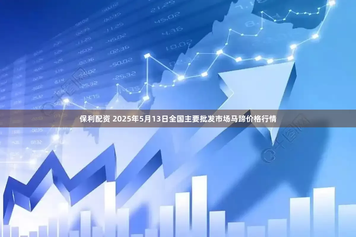 保利配资 2025年5月13日全国主要批发市场马蹄价格行情