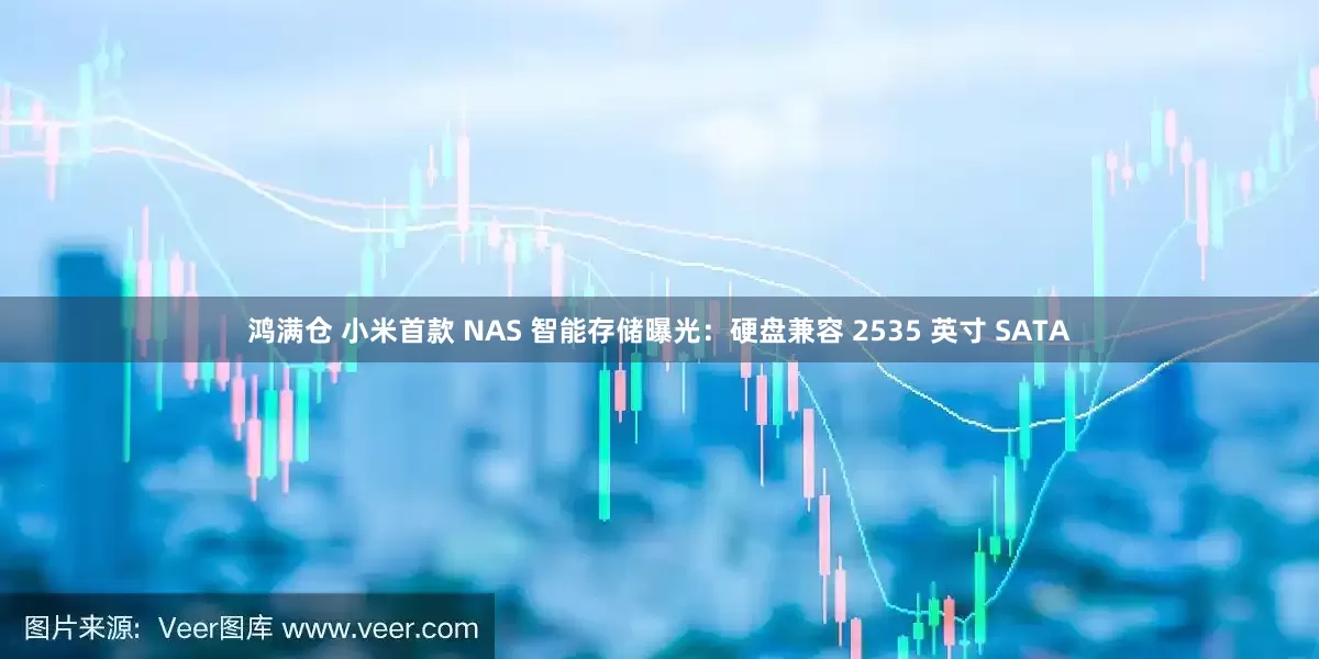 鸿满仓 小米首款 NAS 智能存储曝光：硬盘兼容 2535 英寸 SATA